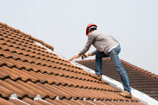 Reliable Sistersville, WV  Roofing repair and installation Solutions